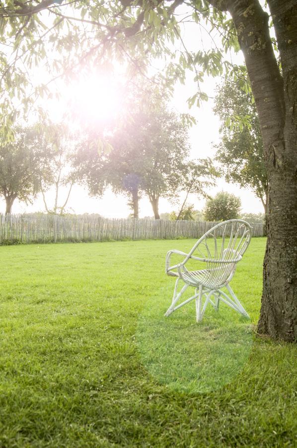 مبيت وإفطار Bed & Breakfast Bed In Brabant فيخل المظهر الخارجي الصورة